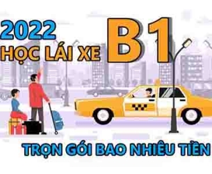 Học Lái Xe Ô Tô B1